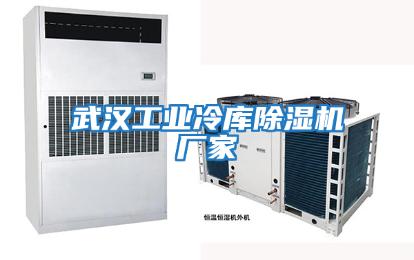 武漢工業(yè)冷庫(kù)除濕機(jī)廠家