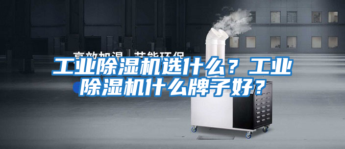 工業(yè)除濕機選什么？工業(yè)除濕機什么牌子好？