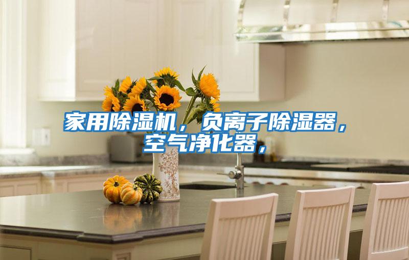 家用除濕機，負離子除濕器，空氣凈化器，