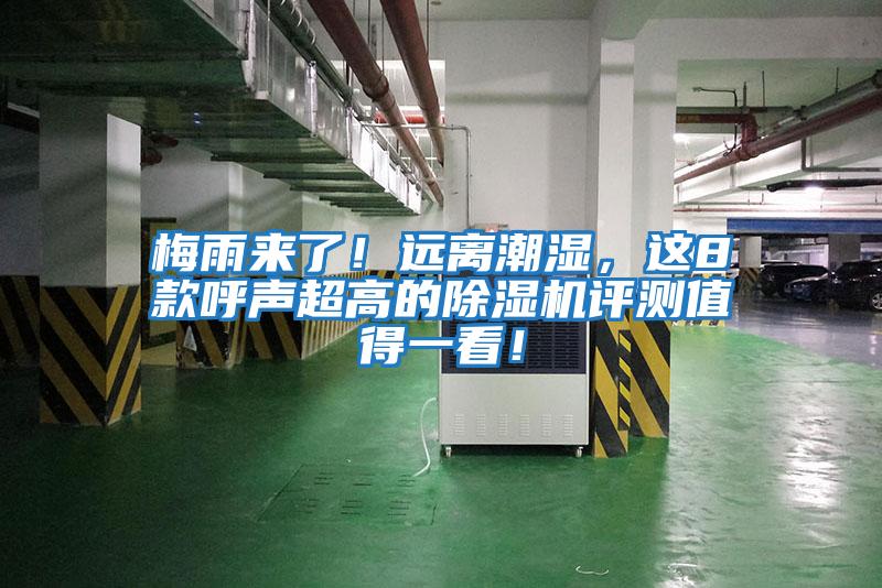 梅雨來了！遠離潮濕，這8款呼聲超高的除濕機評測值得一看！
