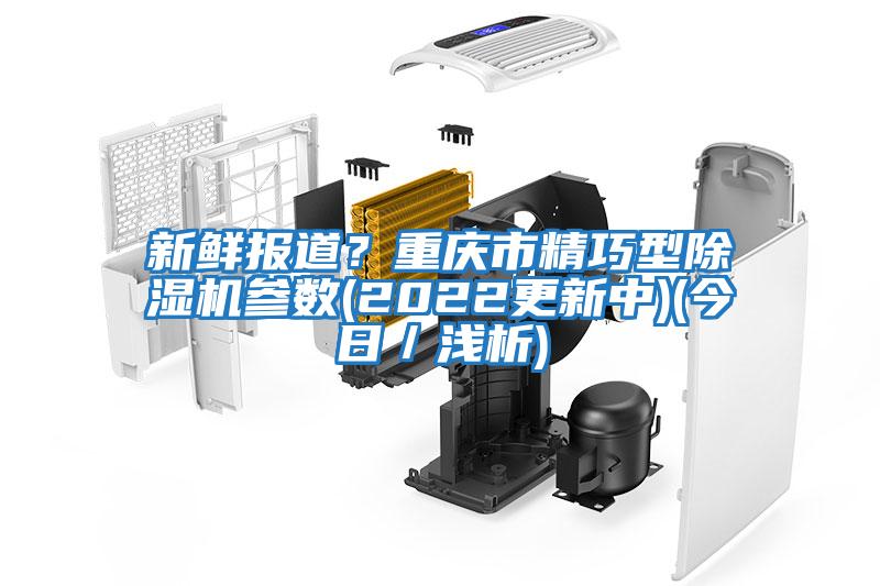 新鮮報道？重慶市精巧型除濕機參數(2022更新中)(今日／淺析)