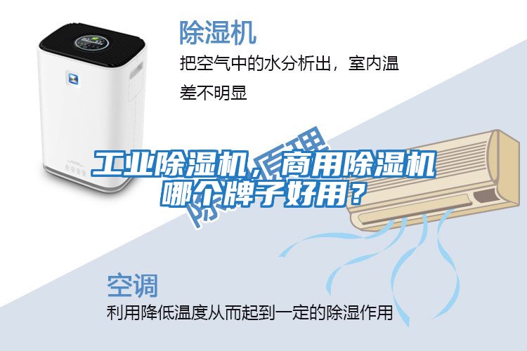 工業(yè)除濕機，商用除濕機哪個牌子好用？