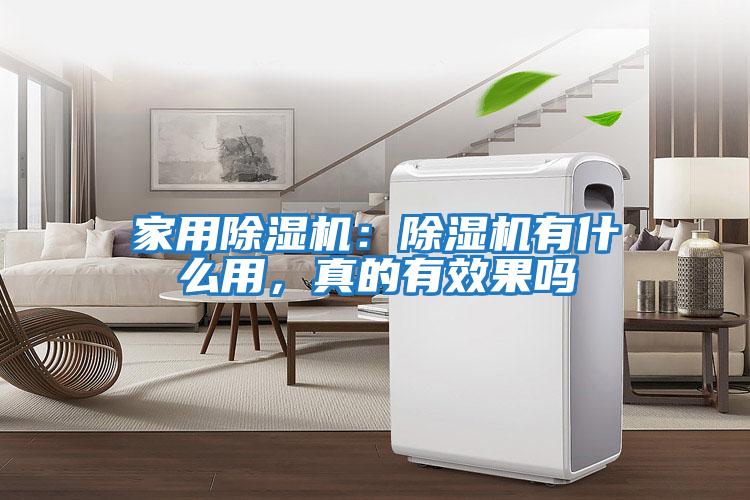 家用除濕機：除濕機有什么用，真的有效果嗎