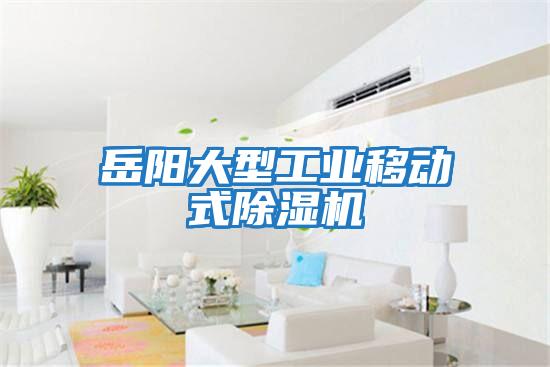 岳陽大型工業(yè)移動(dòng)式除濕機(jī)