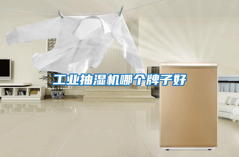 工業(yè)抽濕機(jī)哪個牌子好