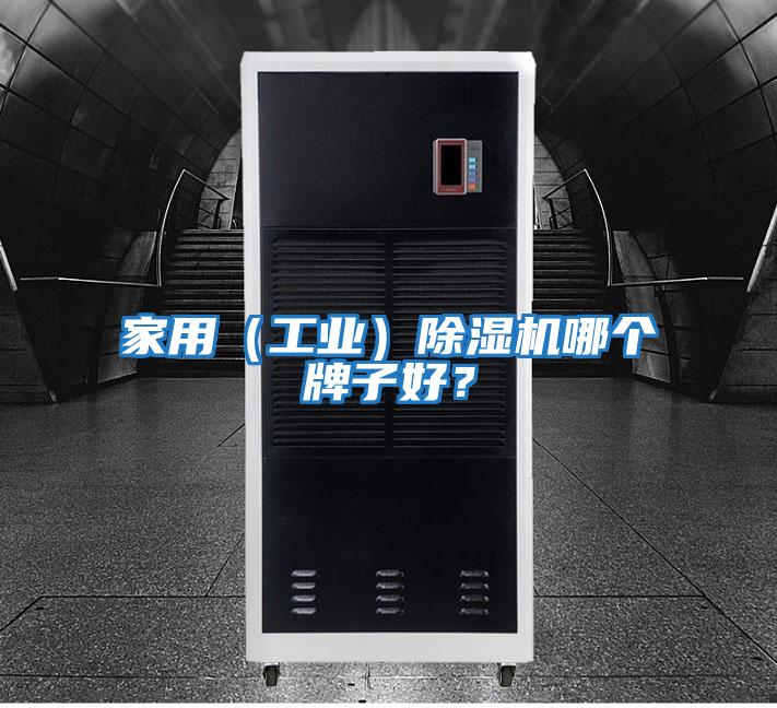 家用（工業）除濕機哪個牌子好？