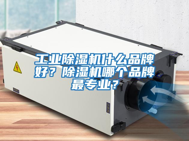 工業(yè)除濕機(jī)什么品牌好？除濕機(jī)哪個(gè)品牌最專業(yè)？
