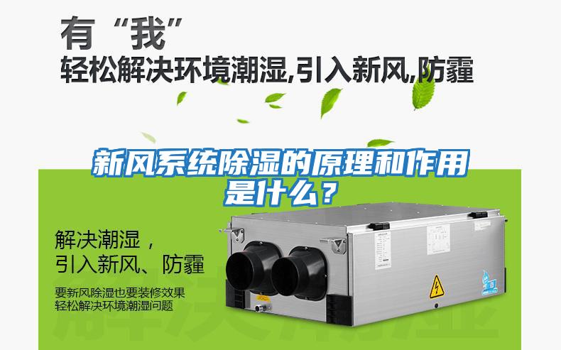 新風系統(tǒng)除濕的原理和作用是什么？