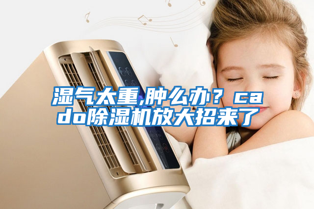 濕氣太重,腫么辦？cado除濕機(jī)放大招來了