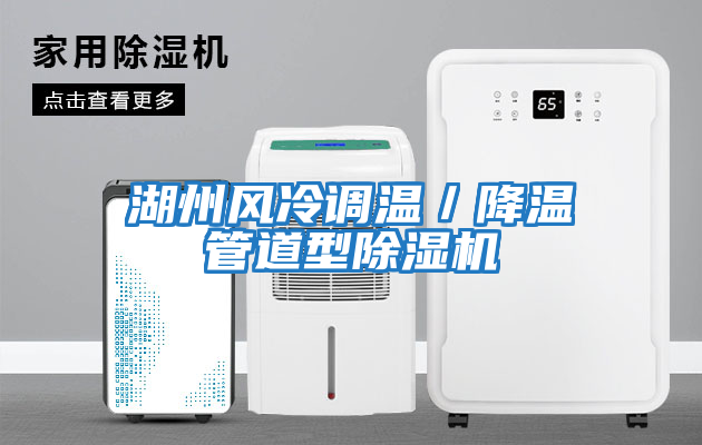 湖州風冷調溫／降溫管道型除濕機