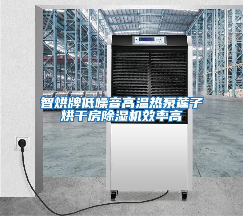 智烘牌低噪音高溫?zé)岜蒙徸雍娓煞砍凉駲C效率高
