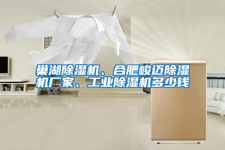 巢湖除濕機、合肥峻邁除濕機廠家、工業除濕機多少錢