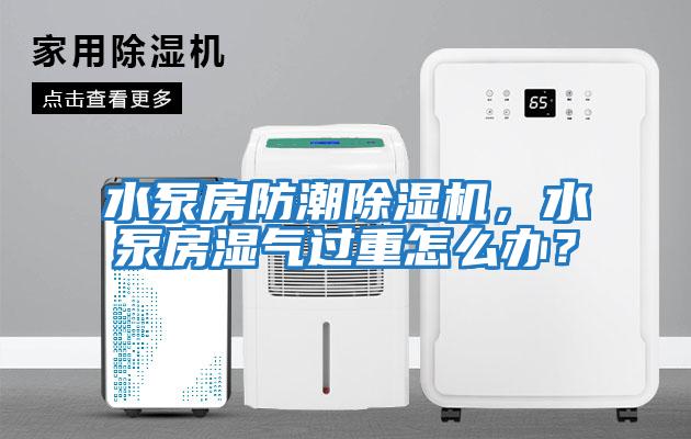 水泵房防潮除濕機(jī)，水泵房濕氣過重怎么辦？