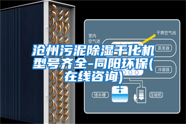 滄州污泥除濕干化機型號齊全-同陽環(huán)保(在線咨詢)