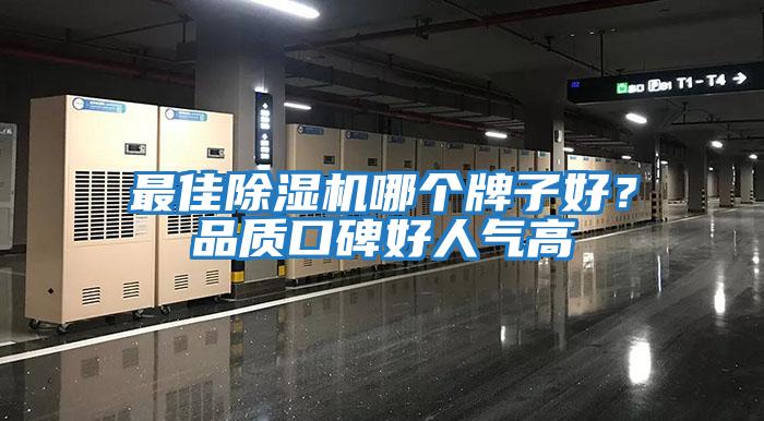 最佳除濕機(jī)哪個(gè)牌子好？品質(zhì)口碑好人氣高