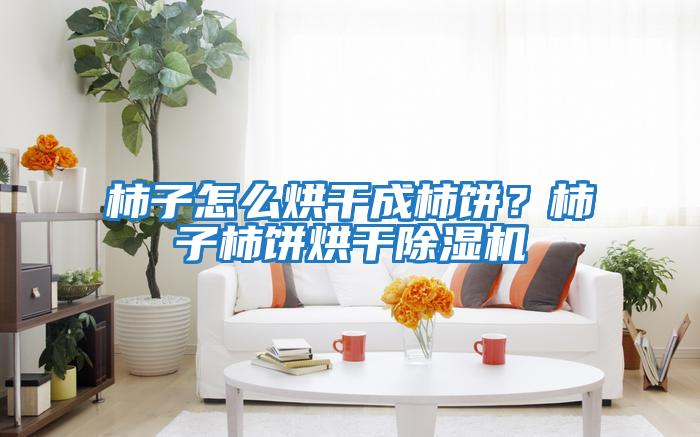 柿子怎么烘干成柿餅？柿子柿餅烘干除濕機