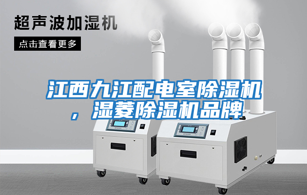 江西九江配電室除濕機，濕菱除濕機品牌