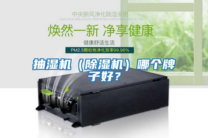 抽濕機(jī)（除濕機(jī)）哪個牌子好？