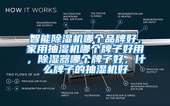 智能除濕機(jī)哪個品牌好，家用抽濕機(jī)哪個牌子好用，除濕器哪個牌子好，什么牌子的抽濕機(jī)好