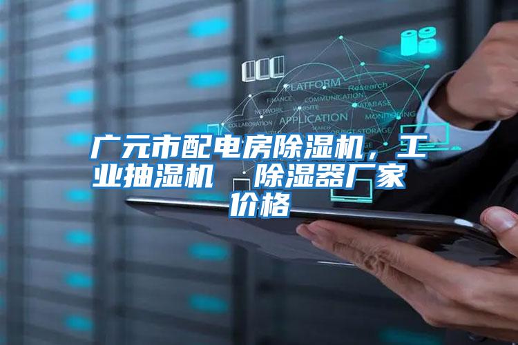 廣元市配電房除濕機，工業(yè)抽濕機  除濕器廠家 價格