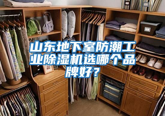 山東地下室防潮工業(yè)除濕機選哪個品牌好？