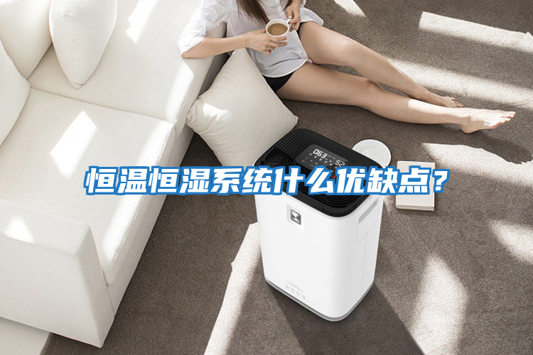 恒溫恒濕系統什么優缺點？