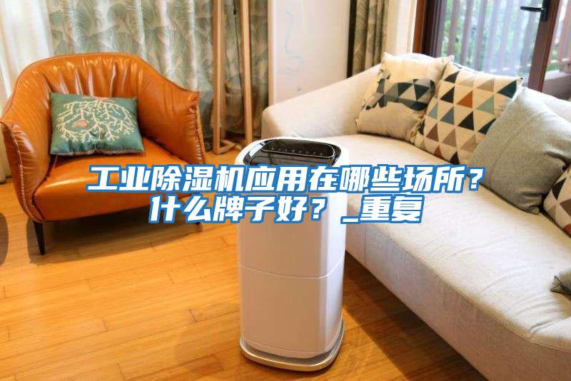 工業(yè)除濕機(jī)應(yīng)用在哪些場所？什么牌子好？_重復(fù)