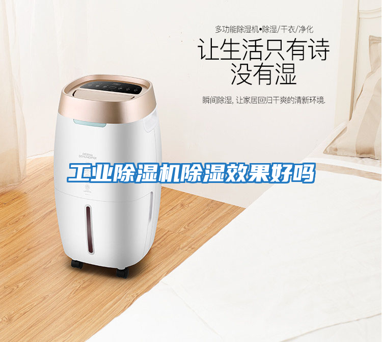 工業除濕機除濕效果好嗎