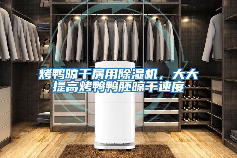 烤鴨晾干房用除濕機(jī),大大提高烤鴨鴨胚晾干速度