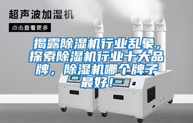 揭露除濕機(jī)行業(yè)亂象，探索除濕機(jī)行業(yè)十大品牌，除濕機(jī)哪個(gè)牌子最好！