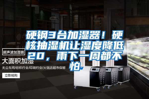 硬鋼3臺加濕器！硬核抽濕機讓濕度降低20，雨下一周都不怕