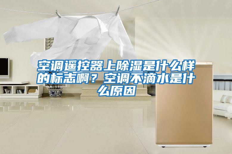 空調(diào)遙控器上除濕是什么樣的標(biāo)志啊？空調(diào)不滴水是什么原因