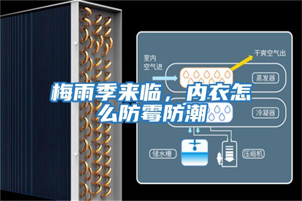 梅雨季來臨，內衣怎么防霉防潮