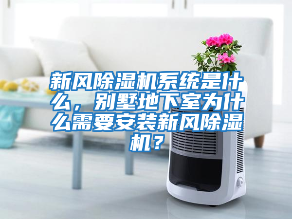 新風除濕機系統(tǒng)是什么，別墅地下室為什么需要安裝新風除濕機？