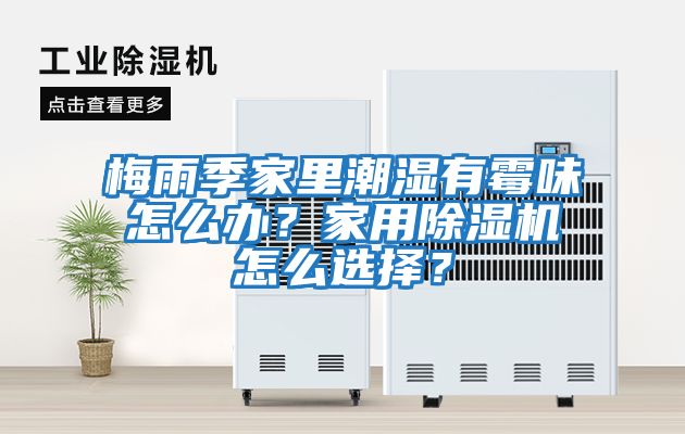 梅雨季家里潮濕有霉味怎么辦？家用除濕機怎么選擇？
