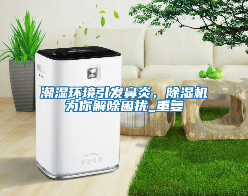 潮濕環境引發鼻炎，除濕機為你解除困擾_重復