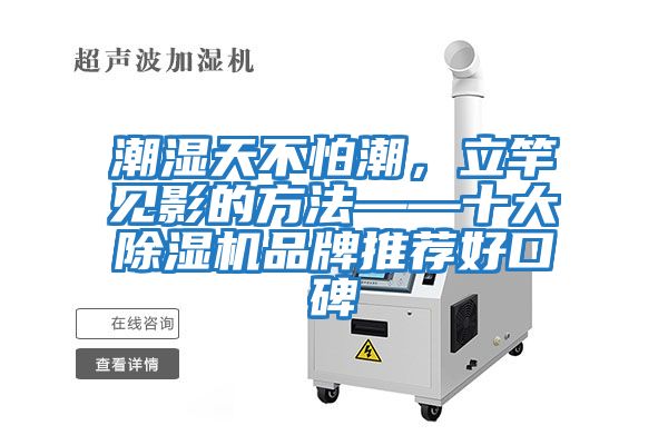 潮濕天不怕潮，立竿見影的方法——十大除濕機品牌推薦好口碑