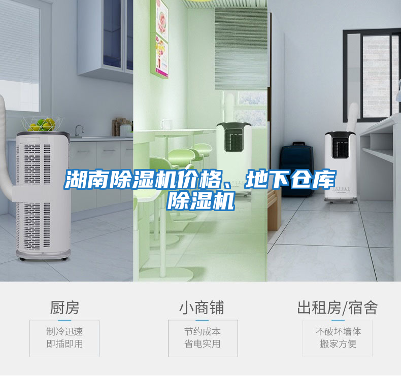 湖南除濕機(jī)價(jià)格、地下倉(cāng)庫(kù)除濕機(jī)