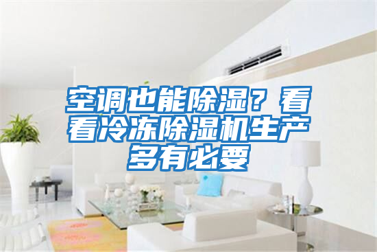 空調(diào)也能除濕？看看冷凍除濕機(jī)生產(chǎn)多有必要
