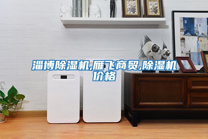淄博除濕機(jī),雁飛商貿(mào),除濕機(jī)價格