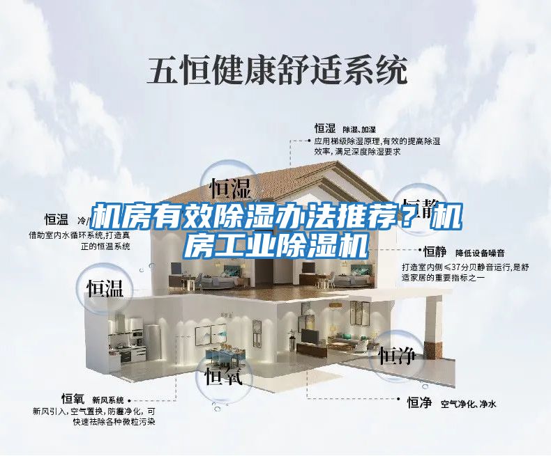 機房有效除濕辦法推薦？機房工業除濕機