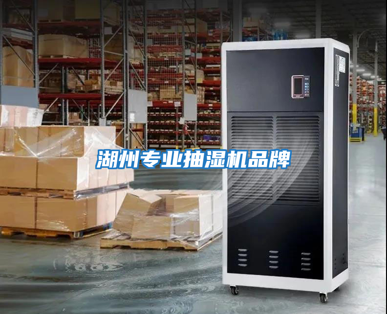 湖州專業抽濕機品牌