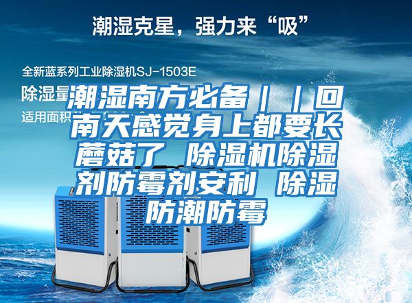潮濕南方必備｜｜回南天感覺(jué)身上都要長(zhǎng)蘑菇了 除濕機(jī)除濕劑防霉劑安利 除濕防潮防霉