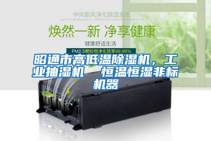 昭通市高低溫除濕機，工業(yè)抽濕機  恒溫恒濕非標機器