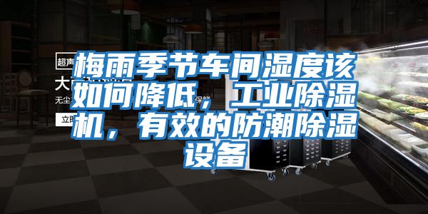 梅雨季節車間濕度該如何降低，工業除濕機，有效的防潮除濕設備