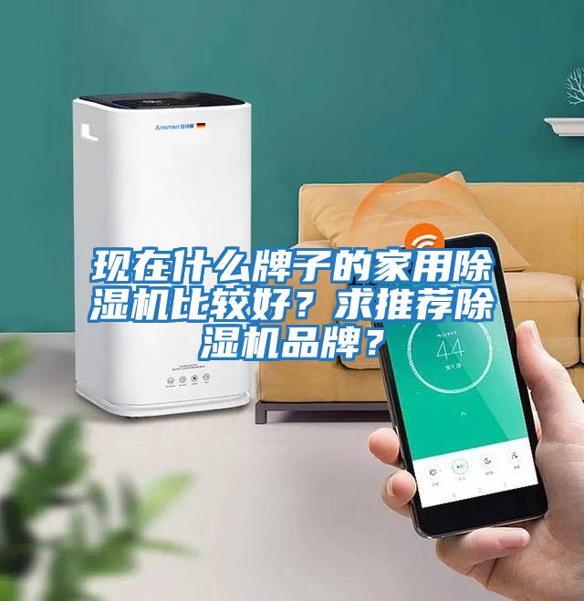 現(xiàn)在什么牌子的家用除濕機(jī)比較好？求推薦除濕機(jī)品牌？
