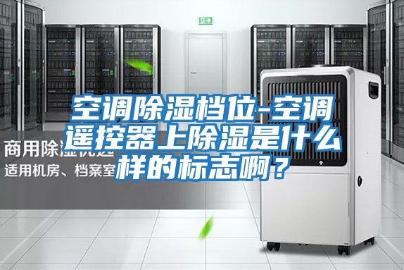 空調除濕檔位-空調遙控器上除濕是什么樣的標志??？