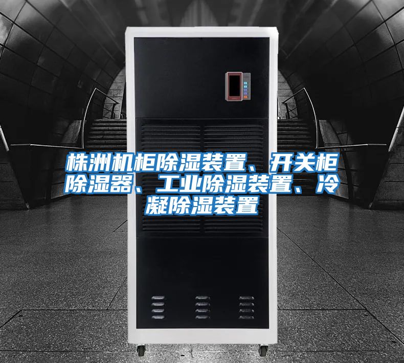 株洲機(jī)柜除濕裝置、開關(guān)柜除濕器、工業(yè)除濕裝置、冷凝除濕裝置