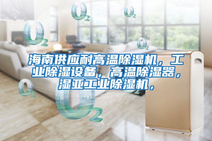 海南供應耐高溫除濕機，工業除濕設備，高溫除濕器，濕亞工業除濕機，