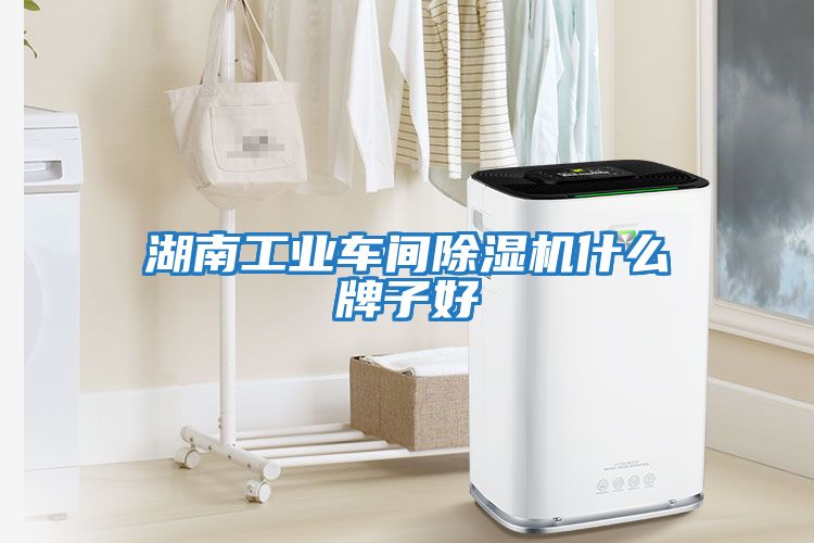 湖南工業(yè)車(chē)間除濕機(jī)什么牌子好